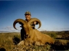 aoudad_500_013