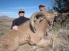 aoudad_500_077