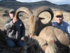 aoudad_500_095